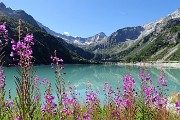 17 Lago d'Avio (1900 m) con vista in Cima Plem (3180 m)